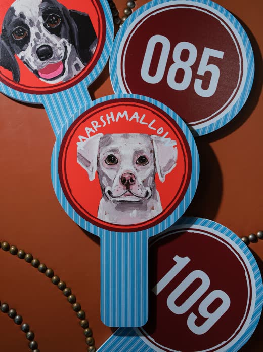 Custom coasters printed with a dog portrait and numbers