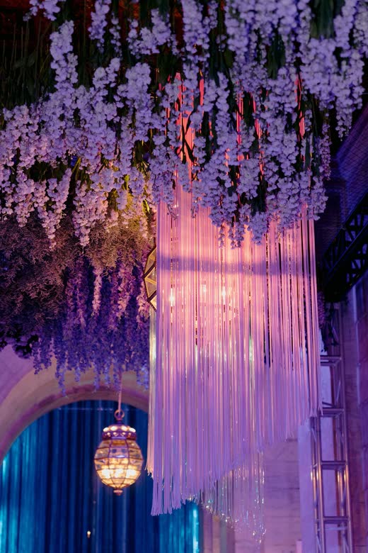Hanging wisteria glowing in purple light